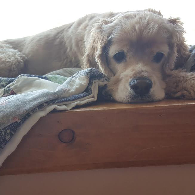 murphy